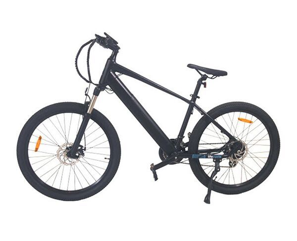 LifeCycle Commuter E-Bike